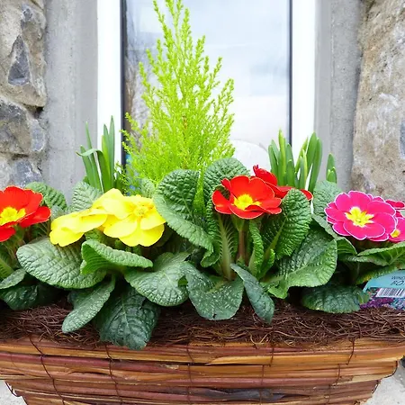 Bed & Breakfast Parkhouse 4*