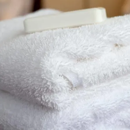 Couette-café Parkhouse Bunratty