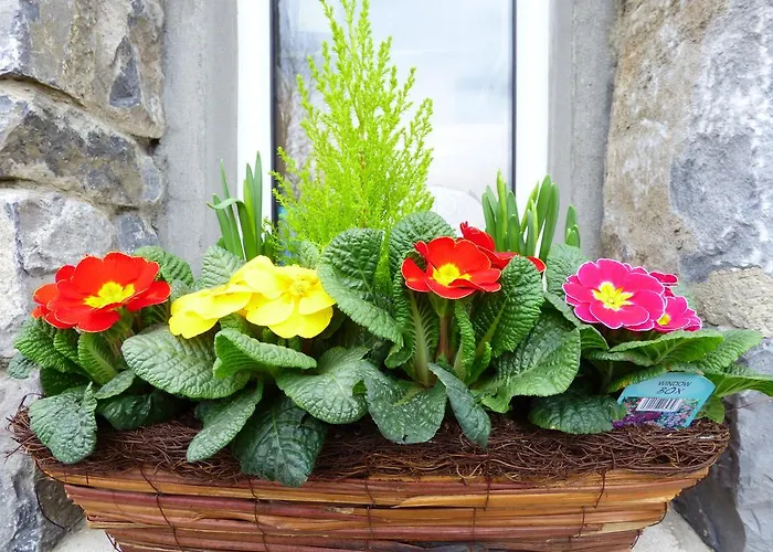 Bed & Breakfast Park House 4*